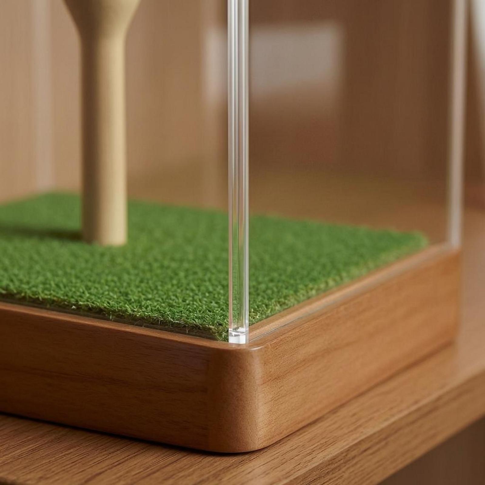 Espositore in Acrilico per Pal - Display Case Acrylic recensione e prezzo